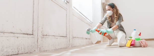 Why You Should Choose Our Mold Remediation Services in Angola, NY